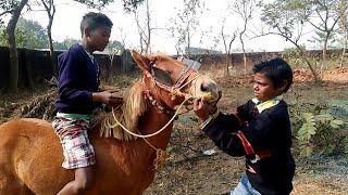 'HORSE BOYS OF RURAL INDIA' - Exploring the Unexplored