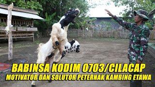 Babinsa Kodim 0703/Cilacap Motivator Peternak Kambing Etawa