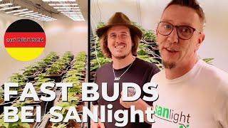 Der Perfekte Grow für deinen CSC "HOMEbox Club" | Fast Buds zu Gast bei SANlight