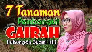 7 Tanaman Pembangkit Gairah Hubungan Suami Istri