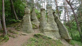 Wanderung durch den Hödinger Tobel