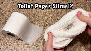 Toilet Paper Slime!?  Easy 2 Ingredient No Glue Paper Slime Recipe!!