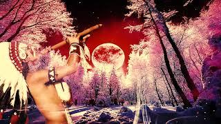 Meditation 528hz Shamanic Love Frequency