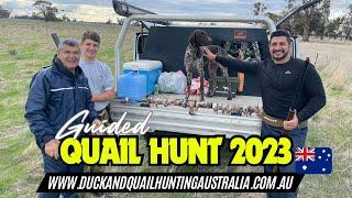 Guided Quail Hunt 2023