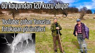 60 KOYUNDAN 120 KUZU ALIYOR / YOUTUBER ÇOBAN YUNUS YILDIZ