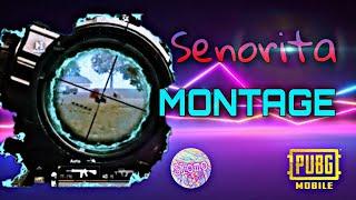 Senorita PubG Montage |~Super Slow~