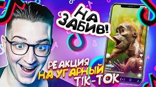 АХАХА, ЭТО РЕАКЦИЯ НА УГАРНЫЙ tik-tok! ОФФНИКИ, ШКОЛЬНИКИ, ЗАБИВЫ!