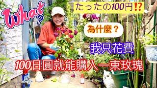 100日圓就入手了一束玫瑰切花;花店有時會這麼做…..#バラ#rose #玫瑰