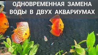 Одновременная замена воды в двух аквариумах.