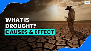 What is Drought? | Causes & Effects of Drought | Letstute