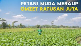 Keren, Petani Muda Lulusan Polbangtan Ini Raup Omzet Ratusan Juta Dari Ternak Domba dan Kedelai