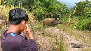 WILD BOAR  & SQUIRREL HUNTING