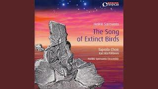 The Song of Extinct Birds: Search for a quiet place (Hiljaisuutta etsimassa)