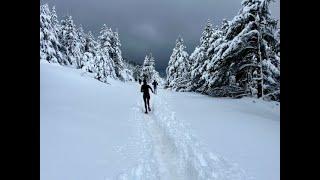 Trail du Ventoux by mont Ventoux 2024