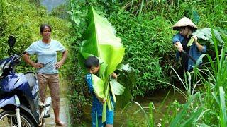 Ly handmade banana cake recipe, Tung mother found Ly place | Country Life Vlog, Farming