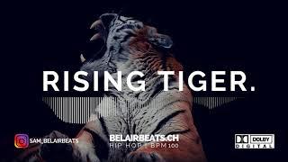 Bryce Vine x Wale Type Beat 2019 - RISING TIGER (prod. by SAM)