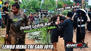 Heboh !! Kalapan Bringas Lembu Ireng Trisari Joyo  Sundan Bikin Penonton Kocar Kacir