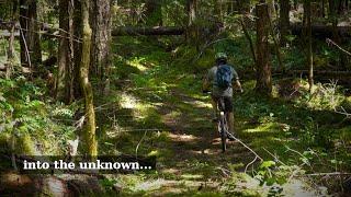 Exploring Old Backroads of the Beaufort Range | Gravel Biking Vancouver Island