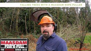 Tree Falling on the Homestead | Rope A-long | Maasdam Pow'R Pull