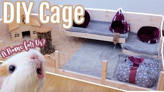 How to Build a Wooden DIY Guinea Pig Cage with Plexiglass Windows