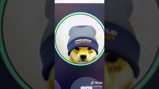 I’m the juice wrld doge and also follow smart.doge on tiktok he need to get to 3k