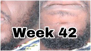 HOW TO GROW A BEARD WITH MINOX- BEARD JOURNEY WEEK 42