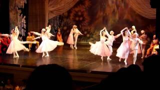 2010.10.14. Nutcracker 06