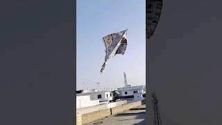 FLY A BIGGEST KITE (Patang)  #shorts #pkcrazyexperiments