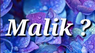 Malik Name Ke Meaning | Malik Name Status | Malik Naam Ka WhatsApp Status | Magic of Name
