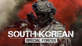 ASIAN TIGERS || South Korean Special Forces