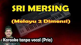 Sri mersing karaoke melayu 2 dimensi (keyboard)