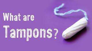 What is a Tampon: Menstruation & Periods 101