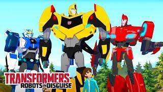 Transformers: Robots in Disguise | Autobots on the Scene! | COMPILATION | Transformers Official