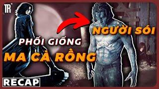 Twilight nhưng nữ chính xinh hơn nhiều | Recap Xàm: Underworld 1