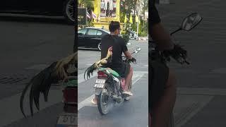 This is how KFC delivers in Thailand