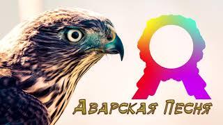 Аварская Песня 2019 (Лезгинка 2019)