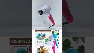 Hairdryer Grooming Kucing Anjing #hairdryer #kucing #videoshort