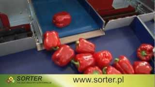 Sortowanie - maszyna sortownicza misowa do papryki i pomidorów
