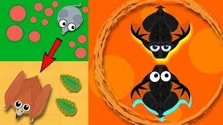 SOLO MOUSE TO PTERODACTYL & OP BLACK DRAGON GAMEPLAY // MOPE.IO