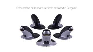 Présentation de la souris verticale Penguin® Fellowes®