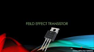 Field Effect Transistors