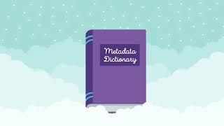 Understand Org configuration with a Metadata Dictionary