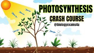 Photosynthesis Crash Course in 45 Minutes ️|| Plant Physiology @biologyexams4u