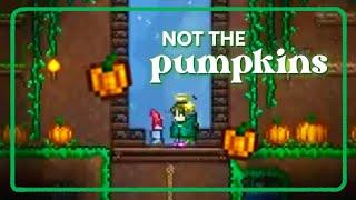 not the pumpkins!!