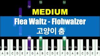 Flea Waltz / Flohwalzer Piano MEDIUM/ 고양이 춤 피아노 중급