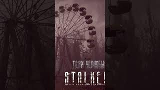 S.T.A.L.K.E.R "Тени Чернобыля" #игры #сталкер #теничернобыля  #games #shorts