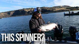 This Spinner Blade MADE the Difference | Fall Salmon Limits |