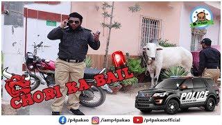 | Chori ka bail Prank | By Nadir Ali In | P4 Pakao | 2019