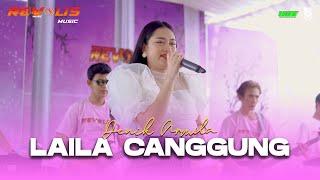 Denik Armila ~ Laila Canggung || Live Ulang Tahun Aiko Revolis - Banyuwangi