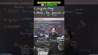 Learn Basidiomycetes in a Minute⏰ #neetxbyvedantu #learninaminute #Basidiomycetes #deepalimam